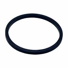 Large Strainer Gasket